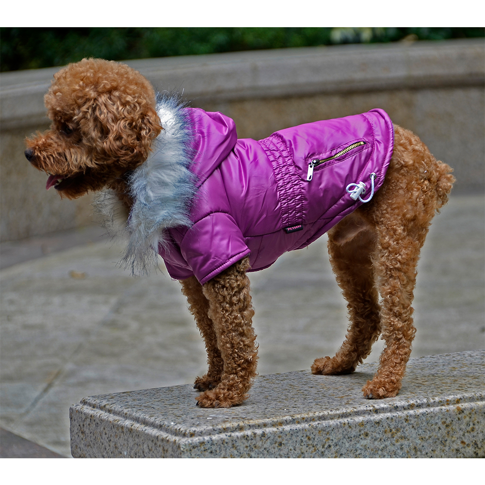 Winter Dog Clothes Warm Hooded - Winter Clothing In French 评论和价格