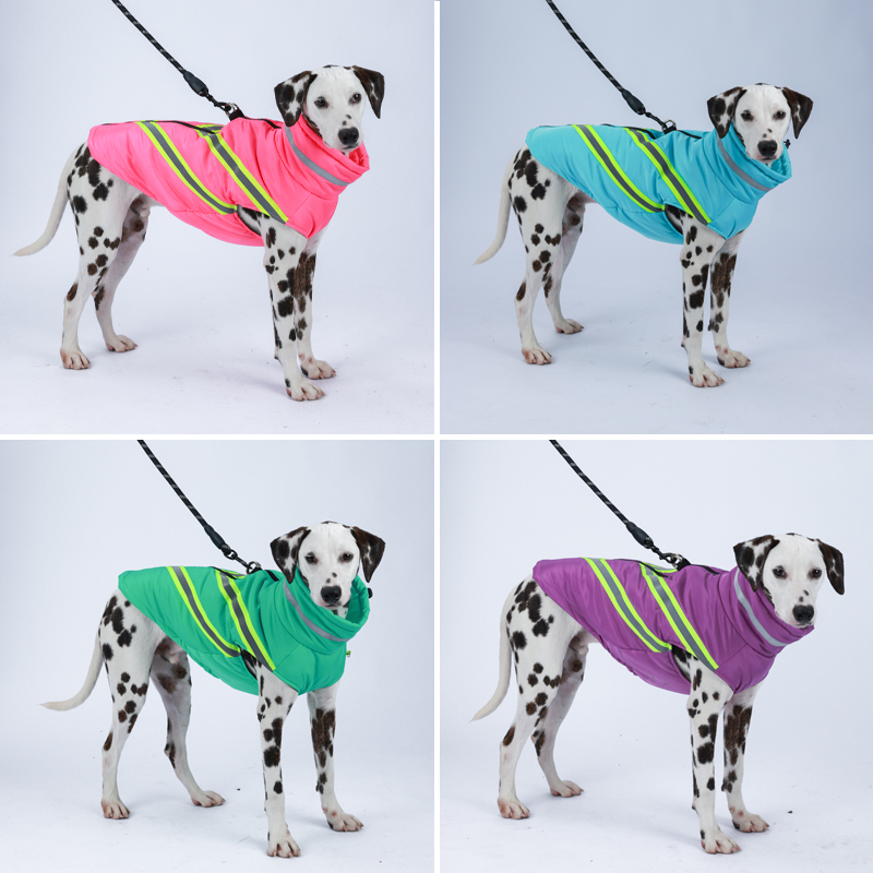 Winter Dog Clothes Waterproof  - Winter Clothing In French 评论和价格
