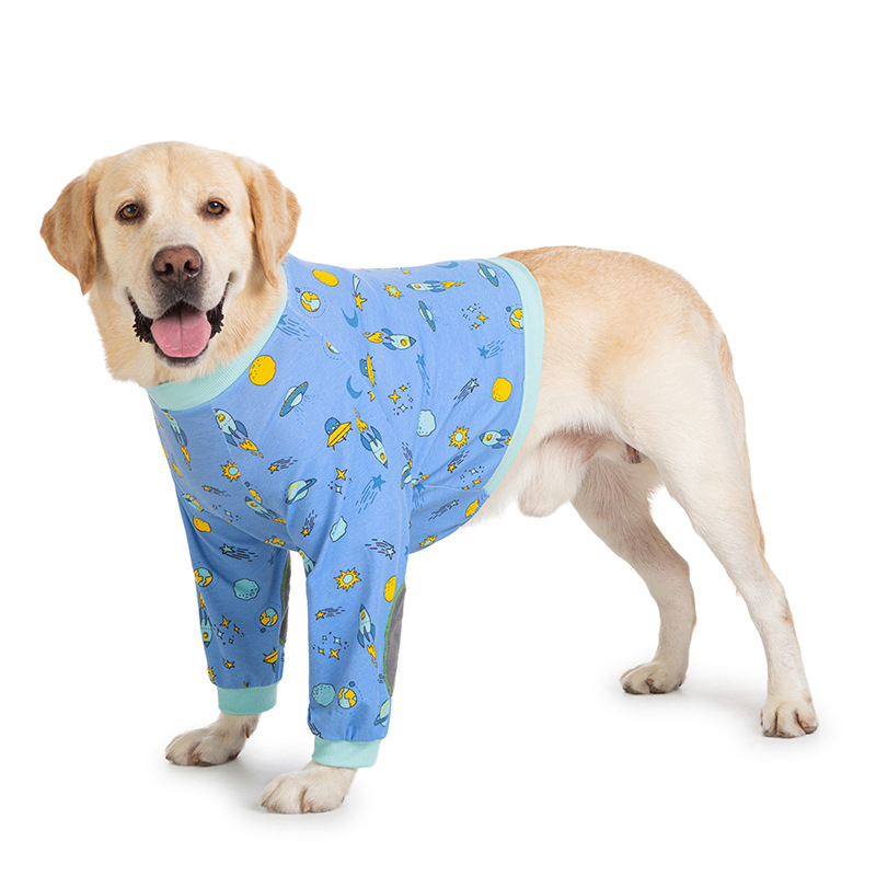 Big Dog Clothes Winter Short T - Winter Clothing Types 评论和价格
