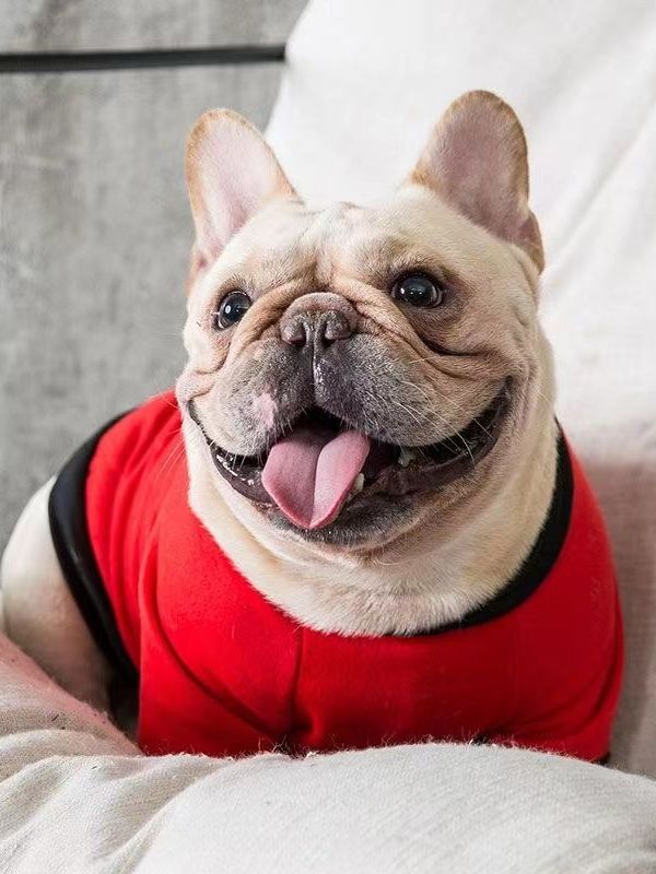 Lightweight French Bulldog Dog - Winter Clothing In French 评论和价格