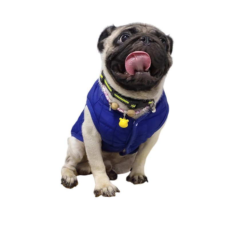 Winter Pet Cotton Jacket Warm  - Winter Clothing In French 评论和价格