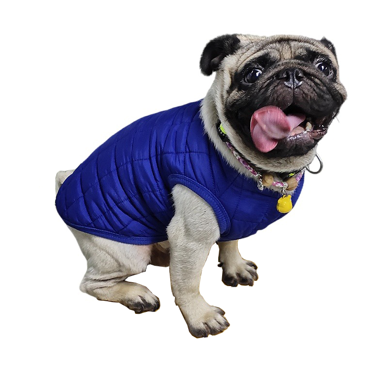 Winter Dog Clothes Warm Puppy  - Winter Clothing In French 评论和价格