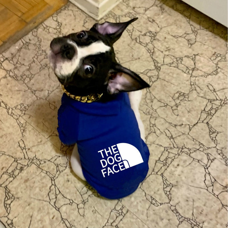 2026 Pet Hoodies Clothes Winte - Winter Clothing In French 评论和价格