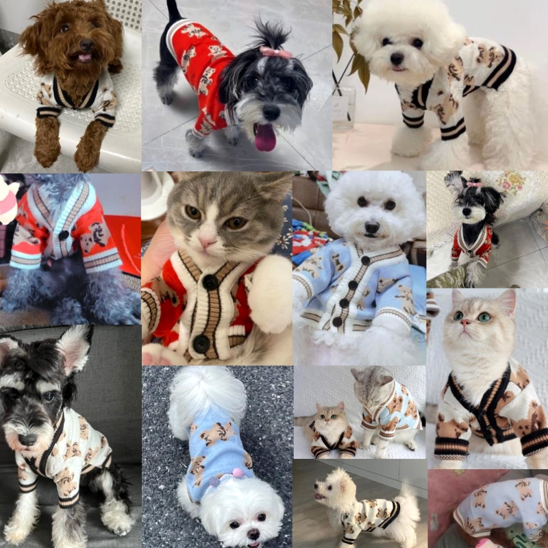 Luxury Dog Clothes Halloween W - Winter Clothing In French 评论和价格
