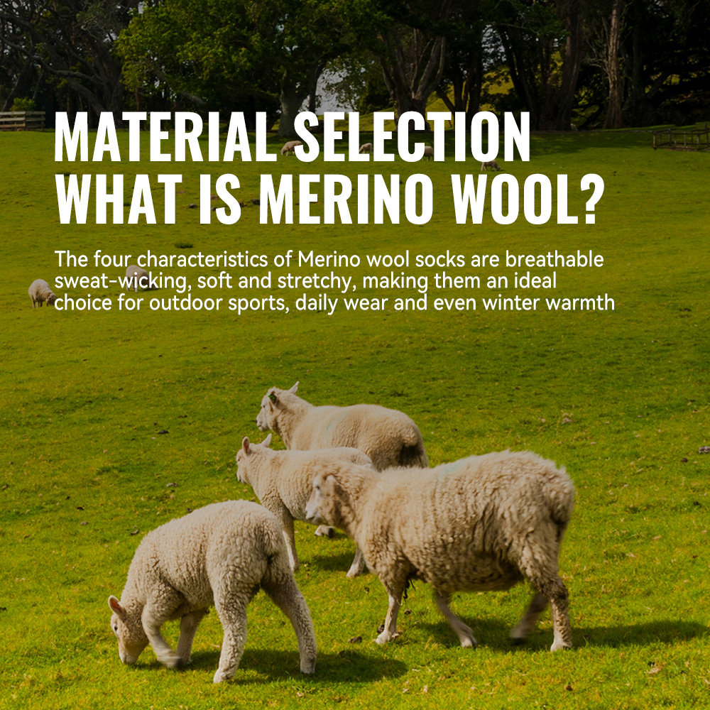 WRELS 1/2/3 Merino Wool Socks  - Thermal Sock Merino 评论和价格