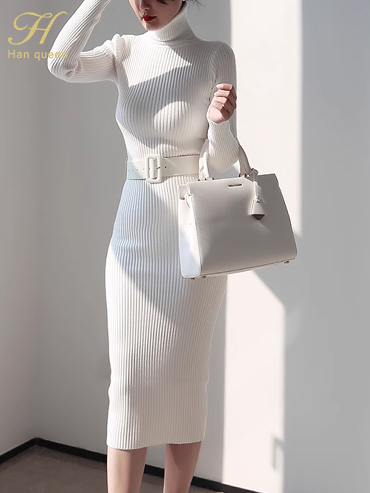 H Han Queen Knitted Turtleneck - Winter Clothing H&M 评论和价格