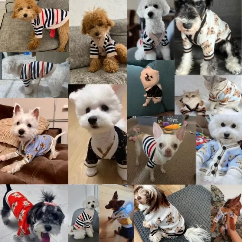 Luxury Small Dog Winter Clothe - Winter Clothing In French 评论和价格
